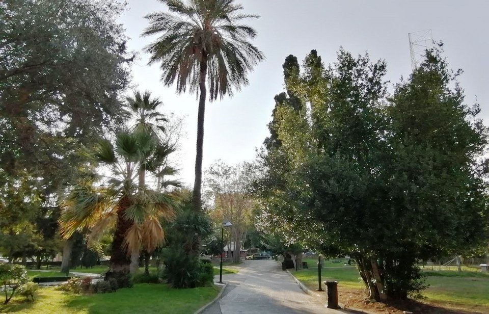 Πάρκο Ριζάρη: Ξηλώνεται ένας από τους τελευταίους πνεύμονες πρασίνου στο κέντρο της Αθήνας, με τη σφραγίδα της Πολιτείας! 10 FE5F66E7 891C 4AC0 B9D1 34DDE06C2C0F