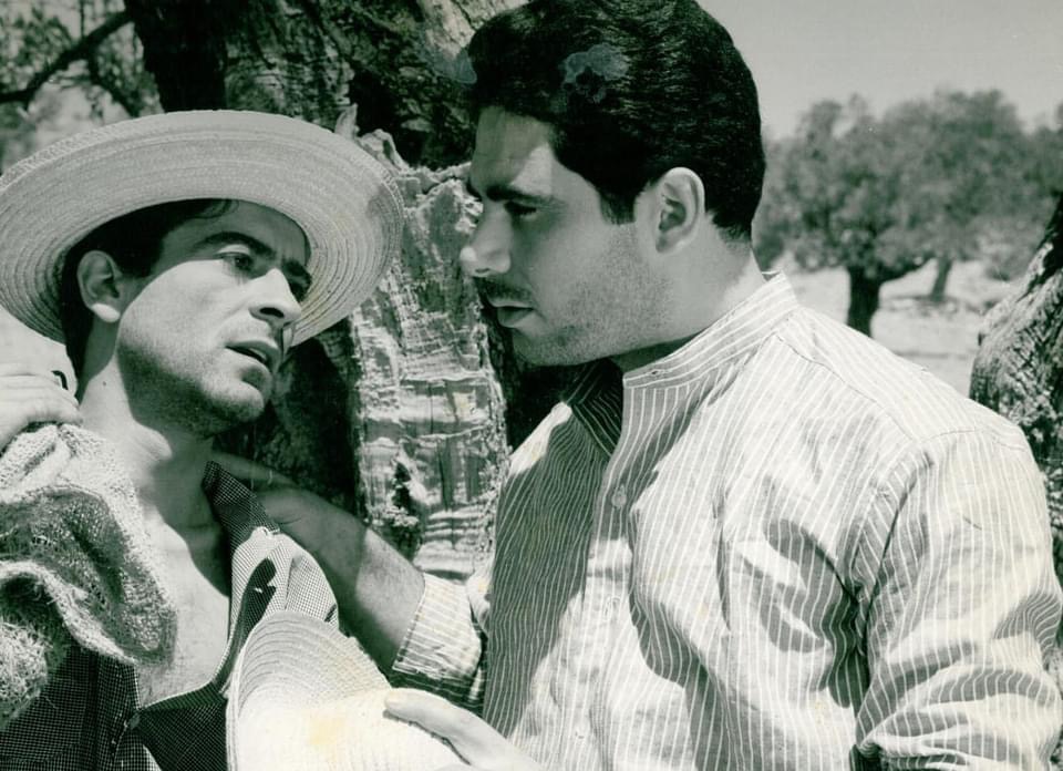 962100ED CE23 4012 AF3C 217B4B0F7031