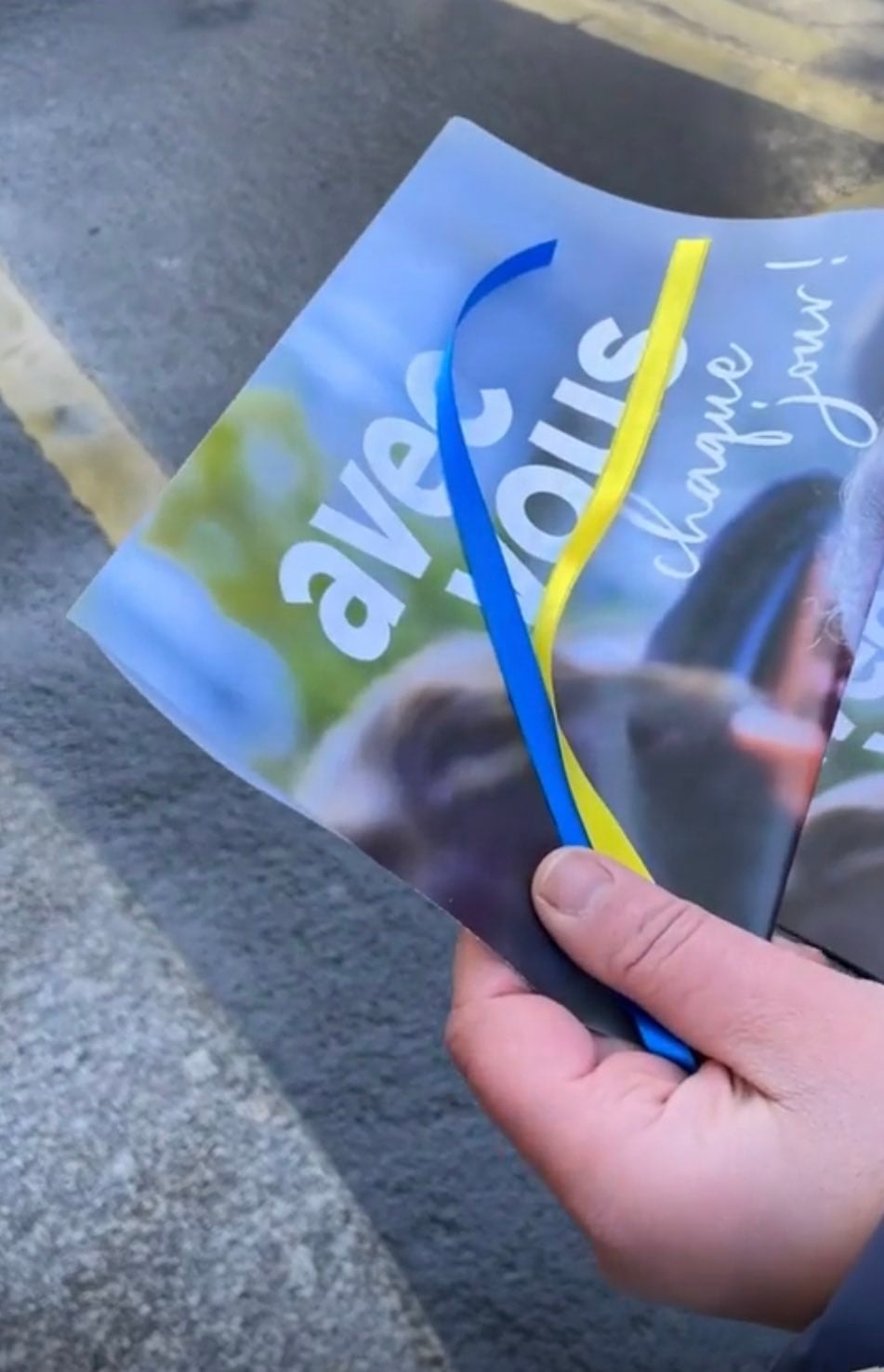 9F5CB686 8117 4BEF 9A78 605BFE2BA880