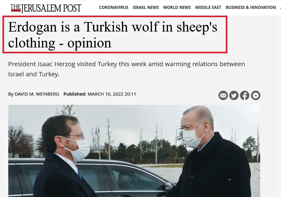 Erdogan is a Turkish wolf in sheeps clothing