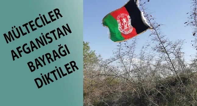 285642EF 98C9 4A18 9262 0C9EDD1943A9