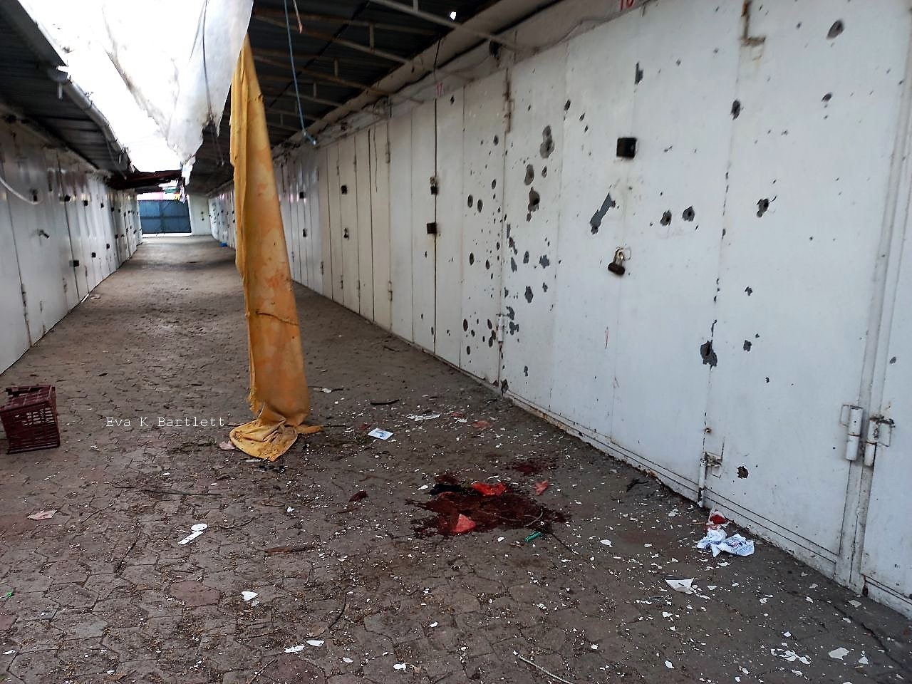 33B01FD6 3925 4582 970B 07490B9BBF2B