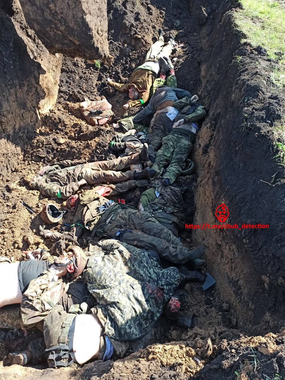 53FF65E1 FD56 45D0 BD63 83EF68E919E4