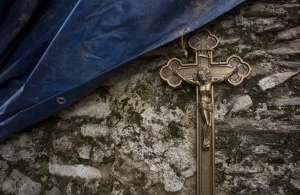 7923E265 5EF8 4CFE A984 FCDB6EE3AD55