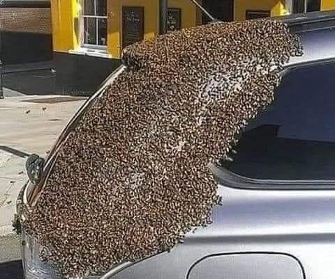 9302F214 E311 4A63 B816 DF0A9B594D51