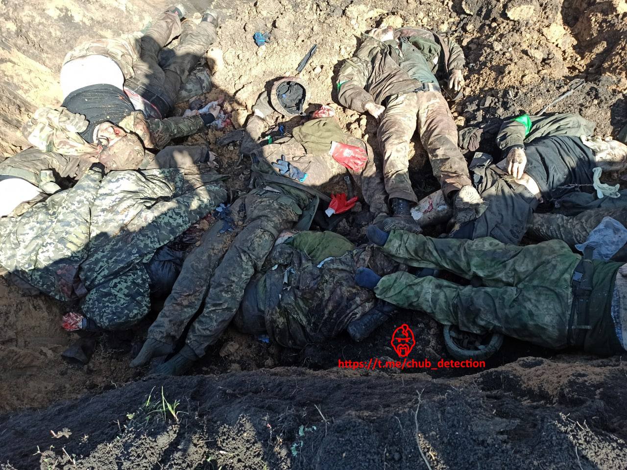 AF070175 3902 4DC1 A59D E23133F7444C