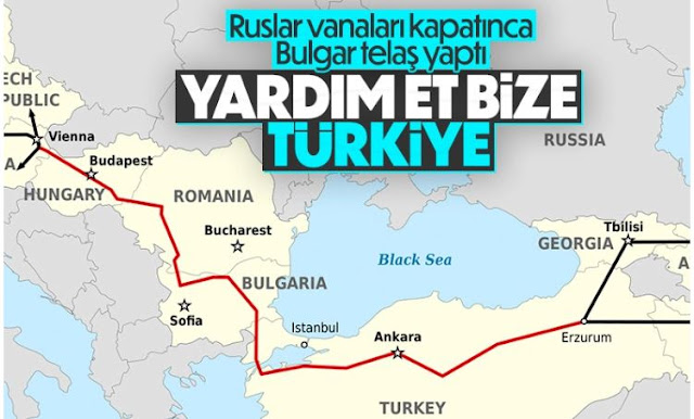 8A4F9035 4BA7 4E51 8821 E59BA0899F36