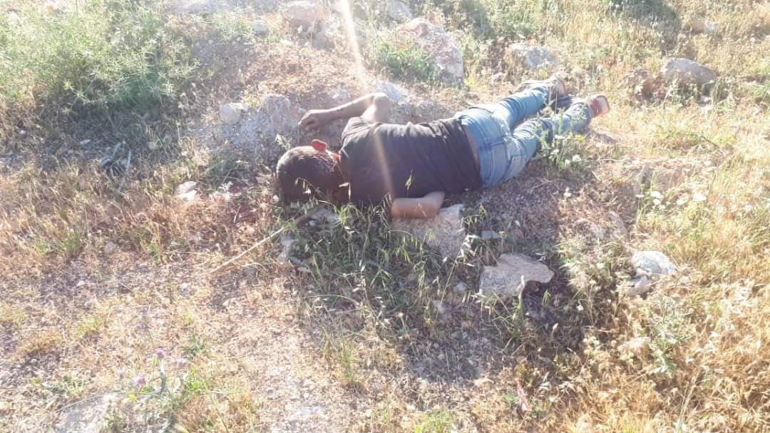 A2180218 E8FA 4B32 A13E 5FDF3AF86FEF