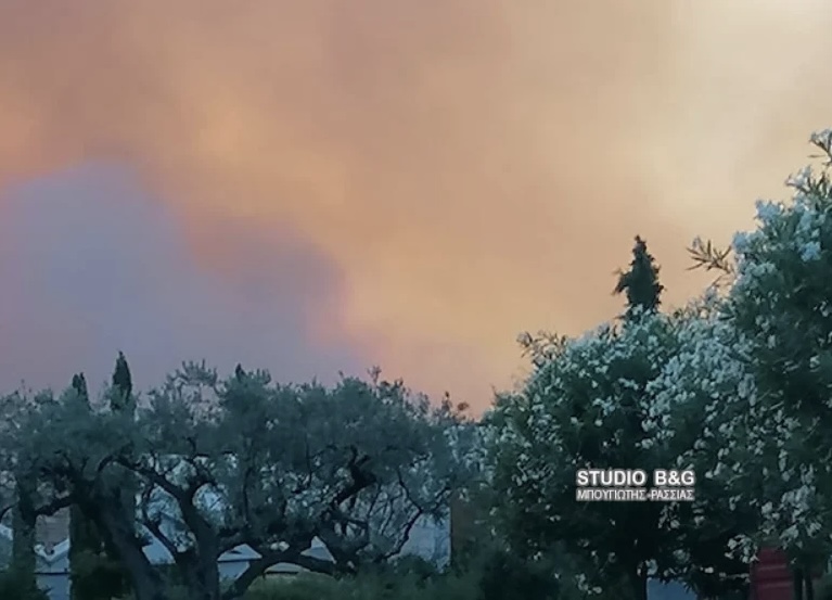 2ACDC9E9 3058 4DF0 961B 8D804DF74B19