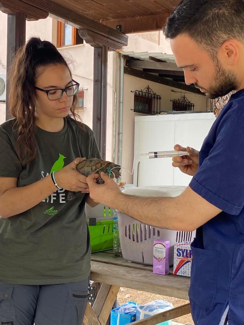 6384777E E908 47F4 88EB 4882F45ECE57