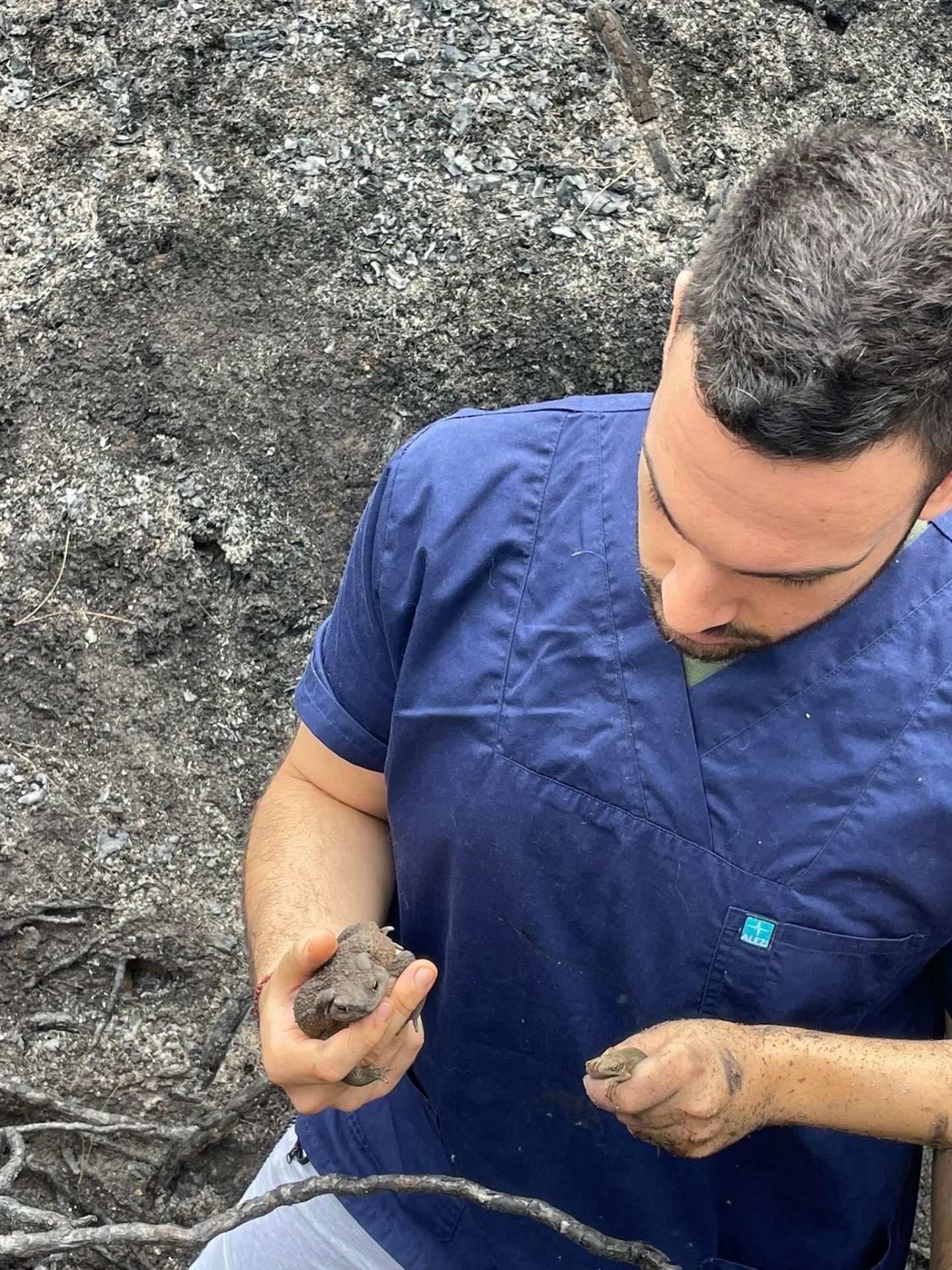 696C8E74 E5D2 42E2 8809 3CEEEB48C4FE