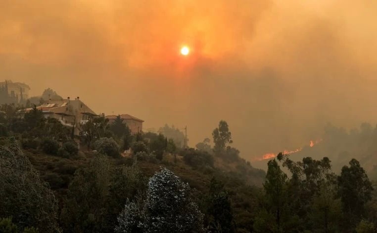 B4B66B63 7BEE 4AA2 830C F0DFB661A90C