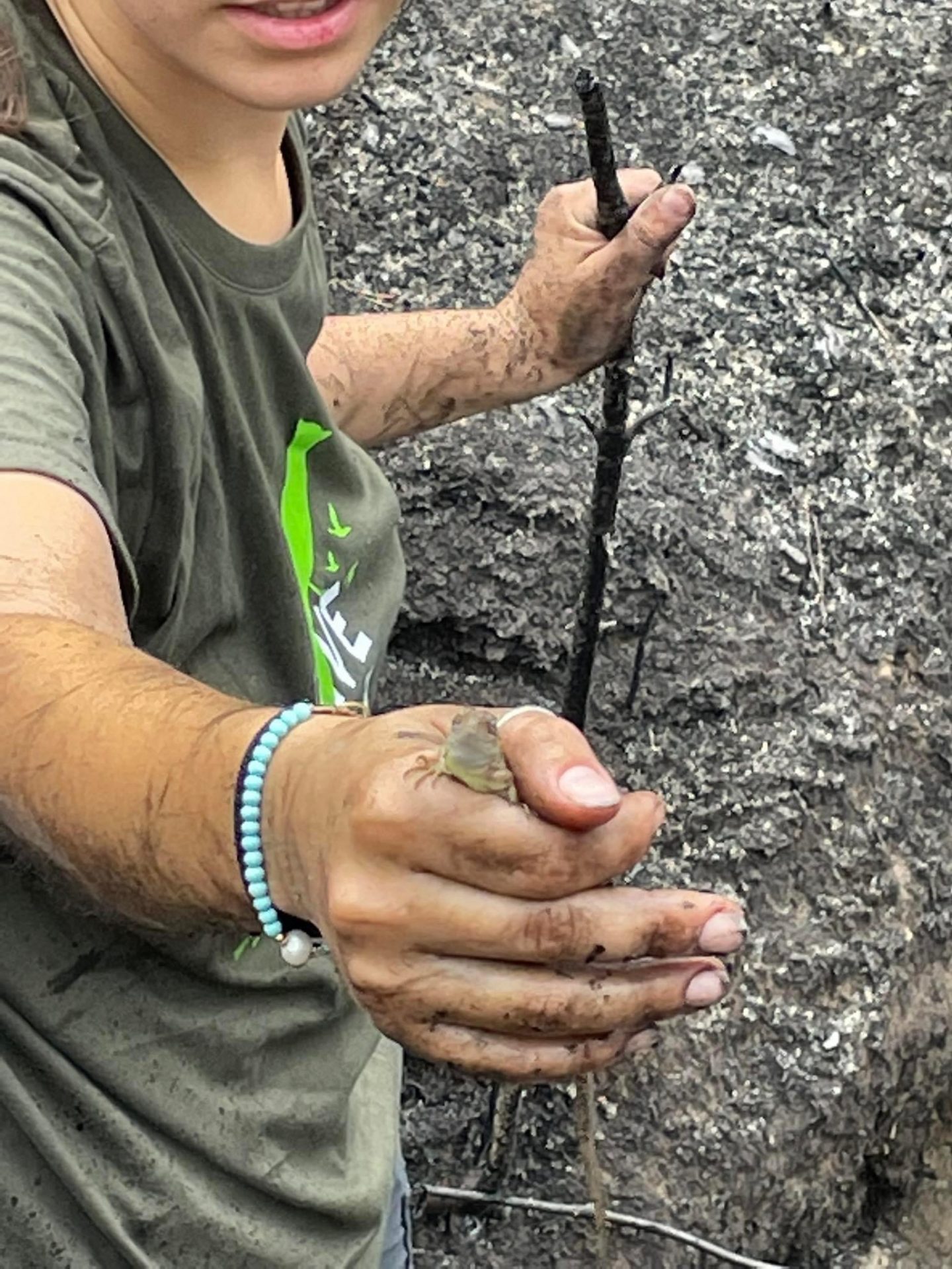 C58D0CC1 E072 470E 9AB8 1D93B09C8733