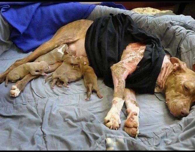 D73C2B8C 3CAE 40AE B9F3 BC3620B99A74