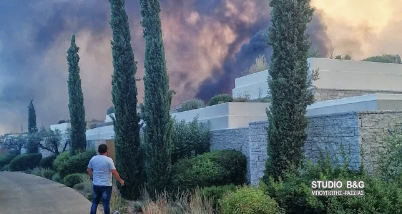 E77CEA66 172C 4A72 A496 8DE7C4971DF8