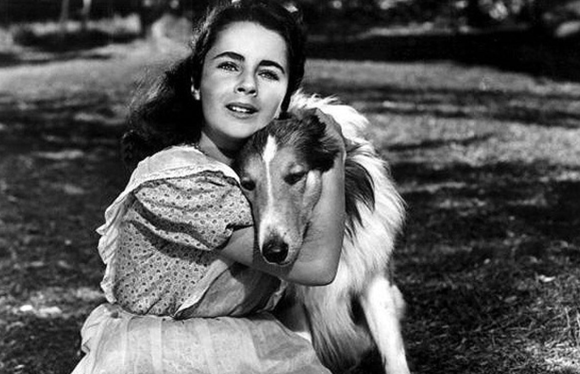 Лесси возвращается домой фильм. Лесси возвращается домой 1943. Лесси фильм 1954. Лесси возвращается домой 1943. Элизабет тейлор лесси возвращается домой.