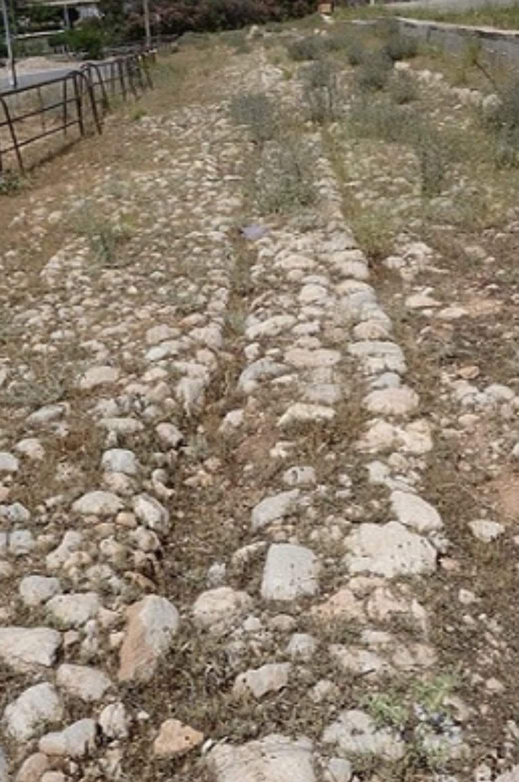 9105BB35 6A34 4A81 8EC7 E838A68ADA61