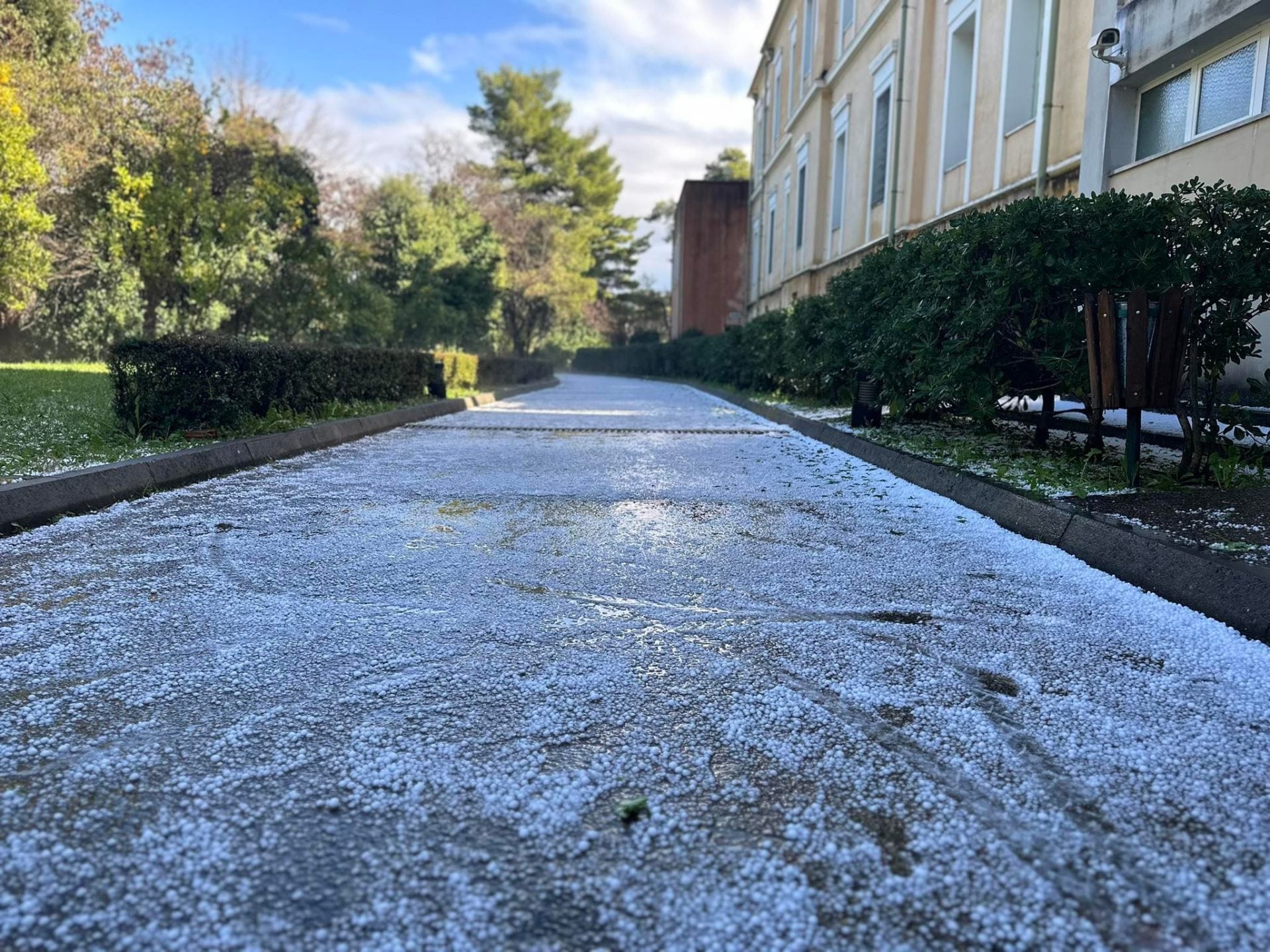 Καιρός: Το «στρώσε» με χαλάζι στην Αρχαία Ολυμπία! 11 E2EF5A36 C438 41BD 86DF 87E89F4815E7