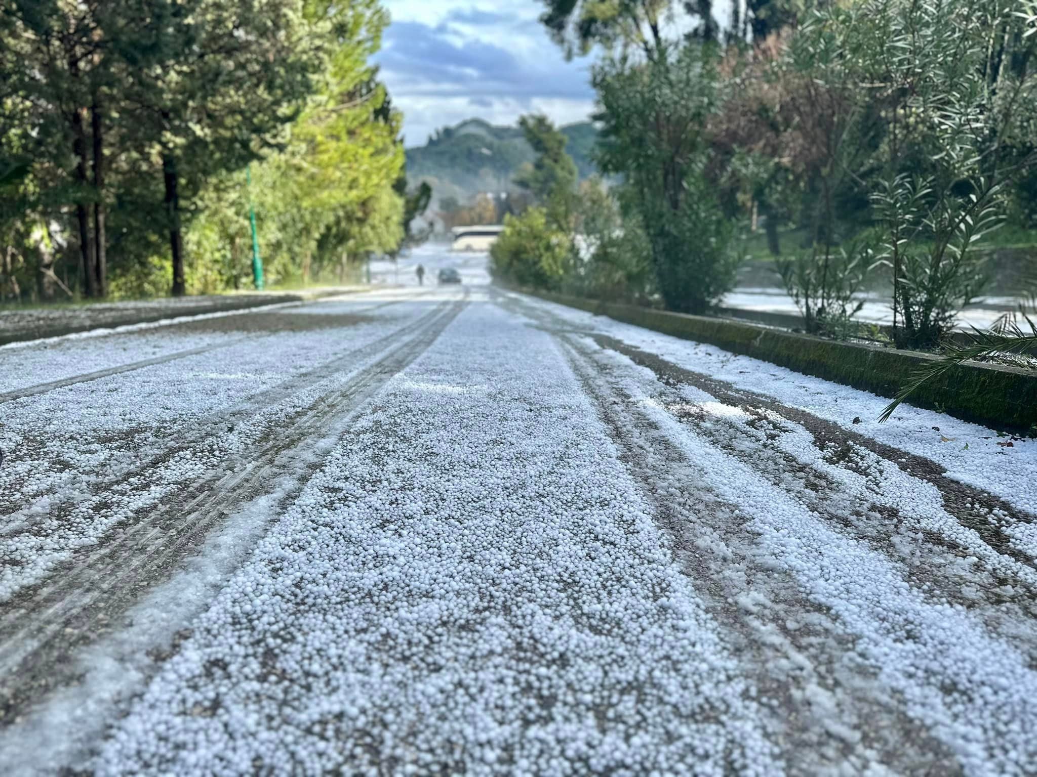 Καιρός: Το «στρώσε» με χαλάζι στην Αρχαία Ολυμπία! 9 E31C2599 9A50 4534 BC19 5B32ED5703E3