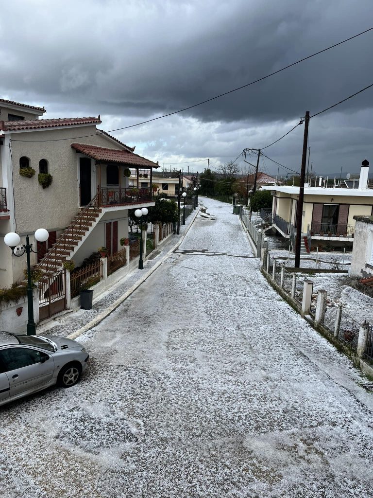 EA7969B6 2DBD 4BD5 89E0 D5E5C06CC216