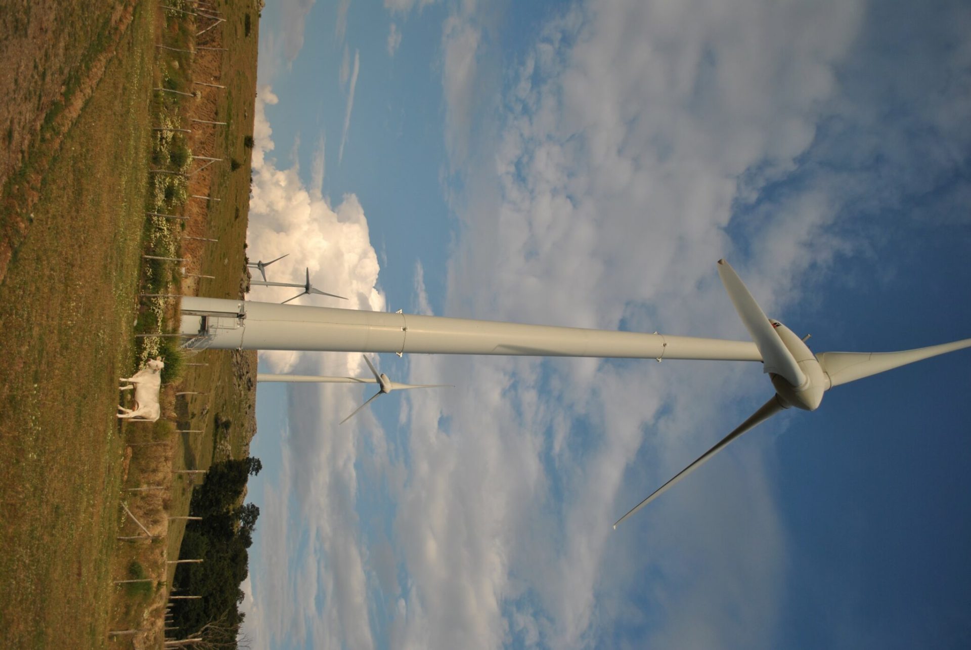 06CE31F9 AB27 4A40 B759 8066B18D98D5