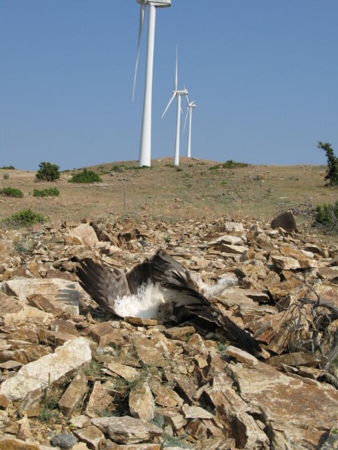 079014FA 8955 4F52 9D2D D54795B3BAF5