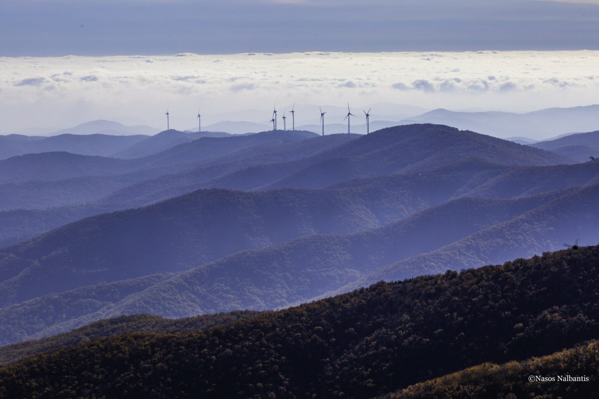 450642CE 3F1F 4403 AFC4 126F409214A0