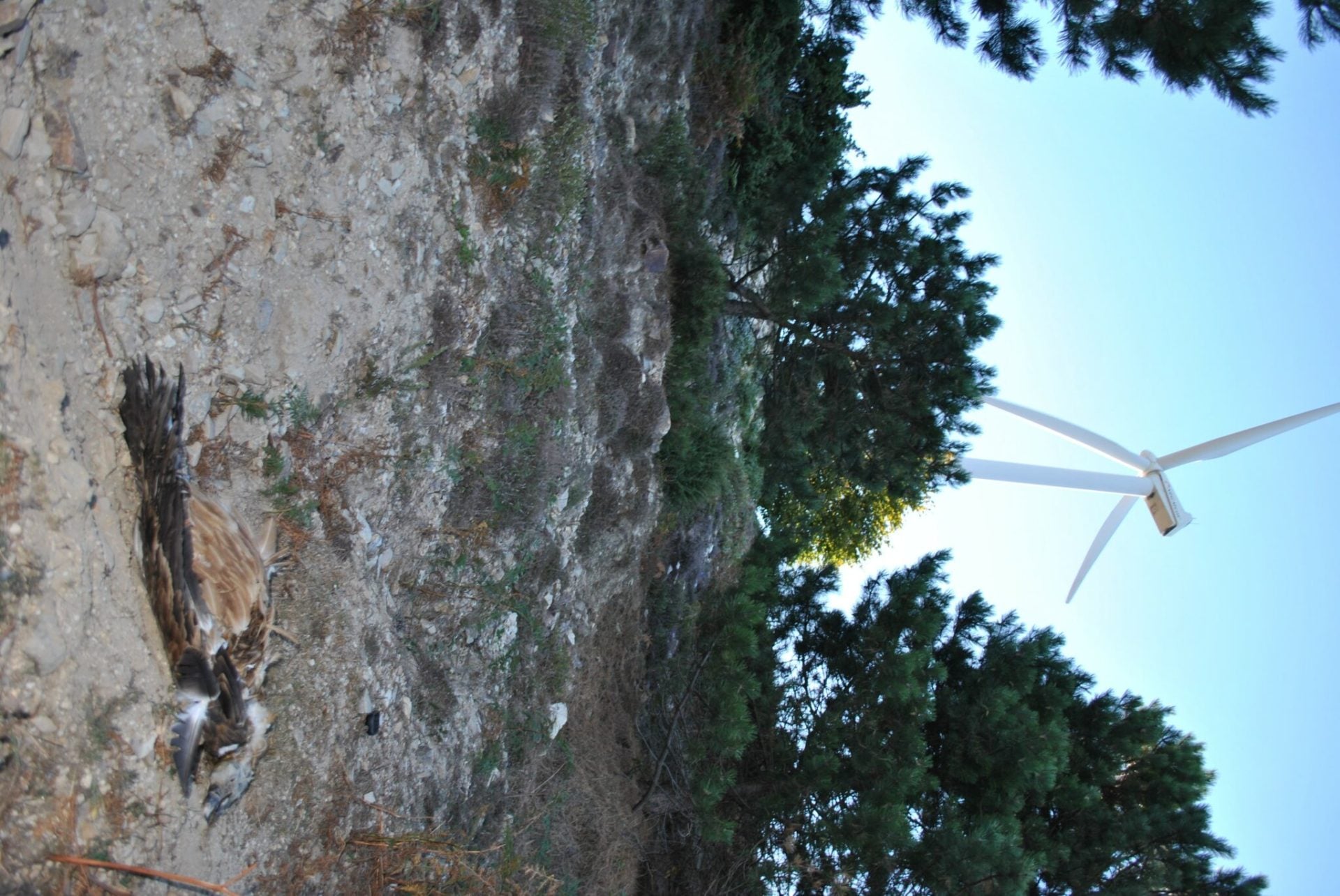 EBED1DE3 DF45 41A6 8943 A94FCCA53452