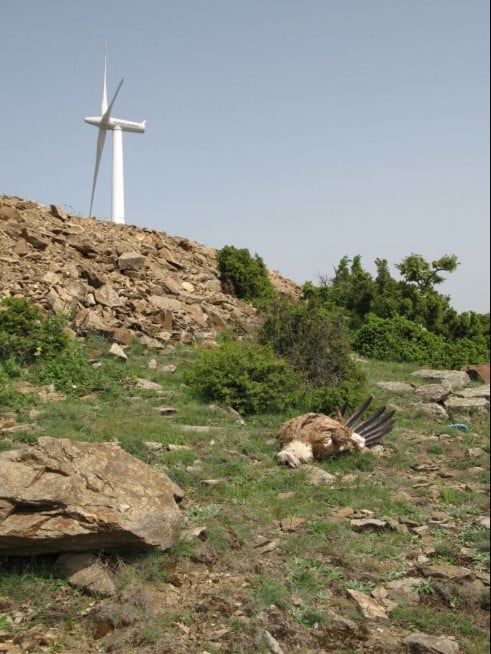 F47DF474 EB45 4CB7 883F B3BC6FCF12C5