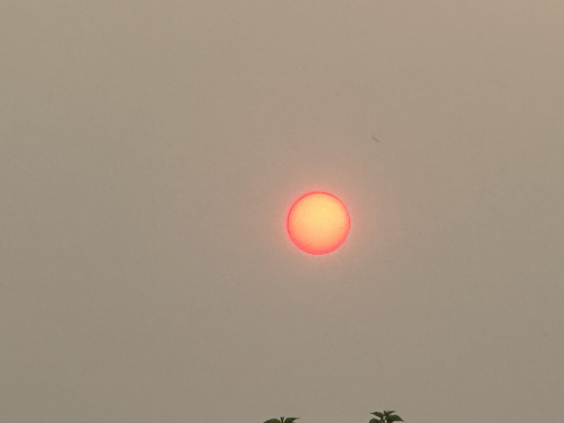 Αυτή την εφιαλτική εικόνα βλέπει αυτή τη στιγμή μεγάλο μέρος της Ελλάδας 7 IMG 3725