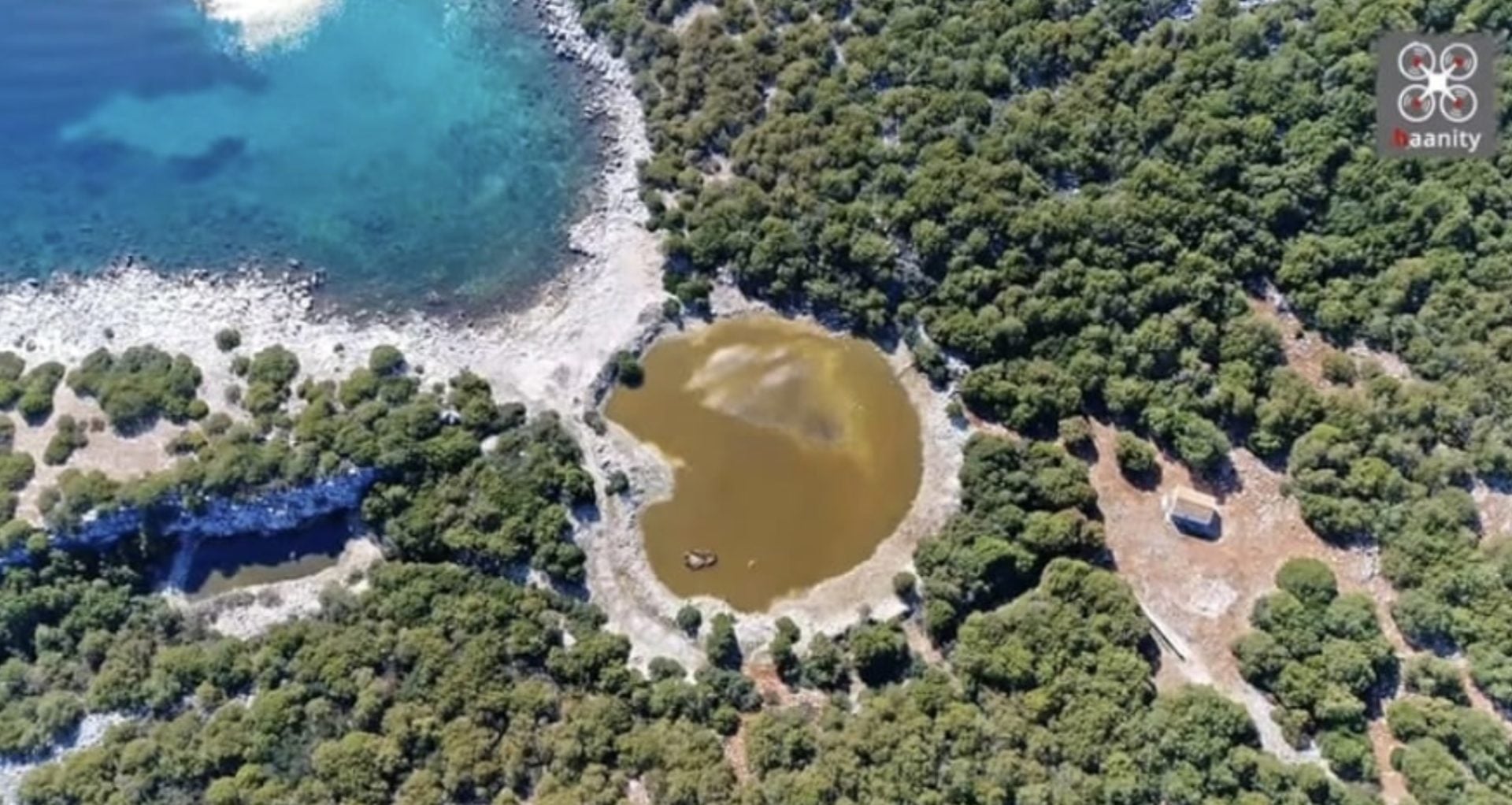 Αιγιλεία: Το μαγευτικό ερημονήσι κοντά στην Αθήνα που είναι γεμάτο λαγούς – Εκεί ήθελαν να γίνει το «Νταβός» της Ελλάδας