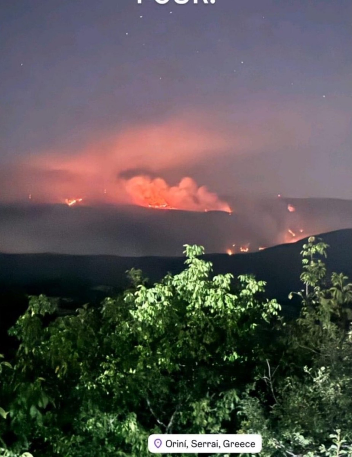 Βιβλική οικολογική καταστροφή στη βόρεια Ελλάδα που αποσιωπάται από τα ΜΜΕ 6 IMG 3410