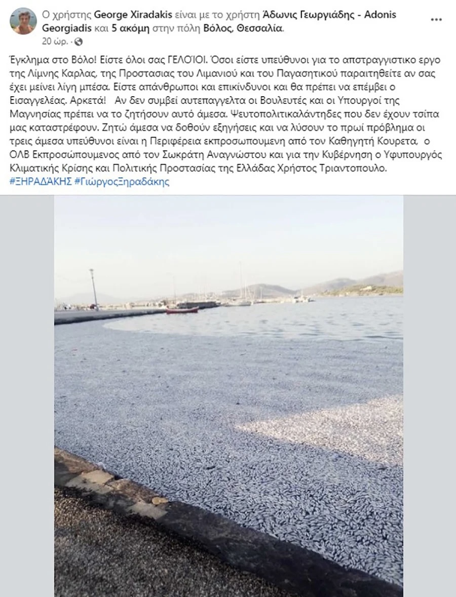 Απασφάλισε ο Γιώργος Ξηραδάκης για το έγκλημα στο Βόλο και επιτίθεται στους υπουργούς 4 IMG 4115