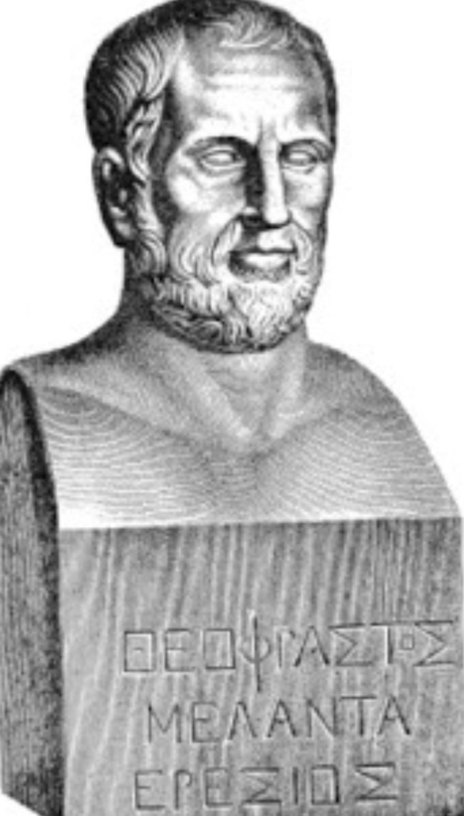 IMG 9523