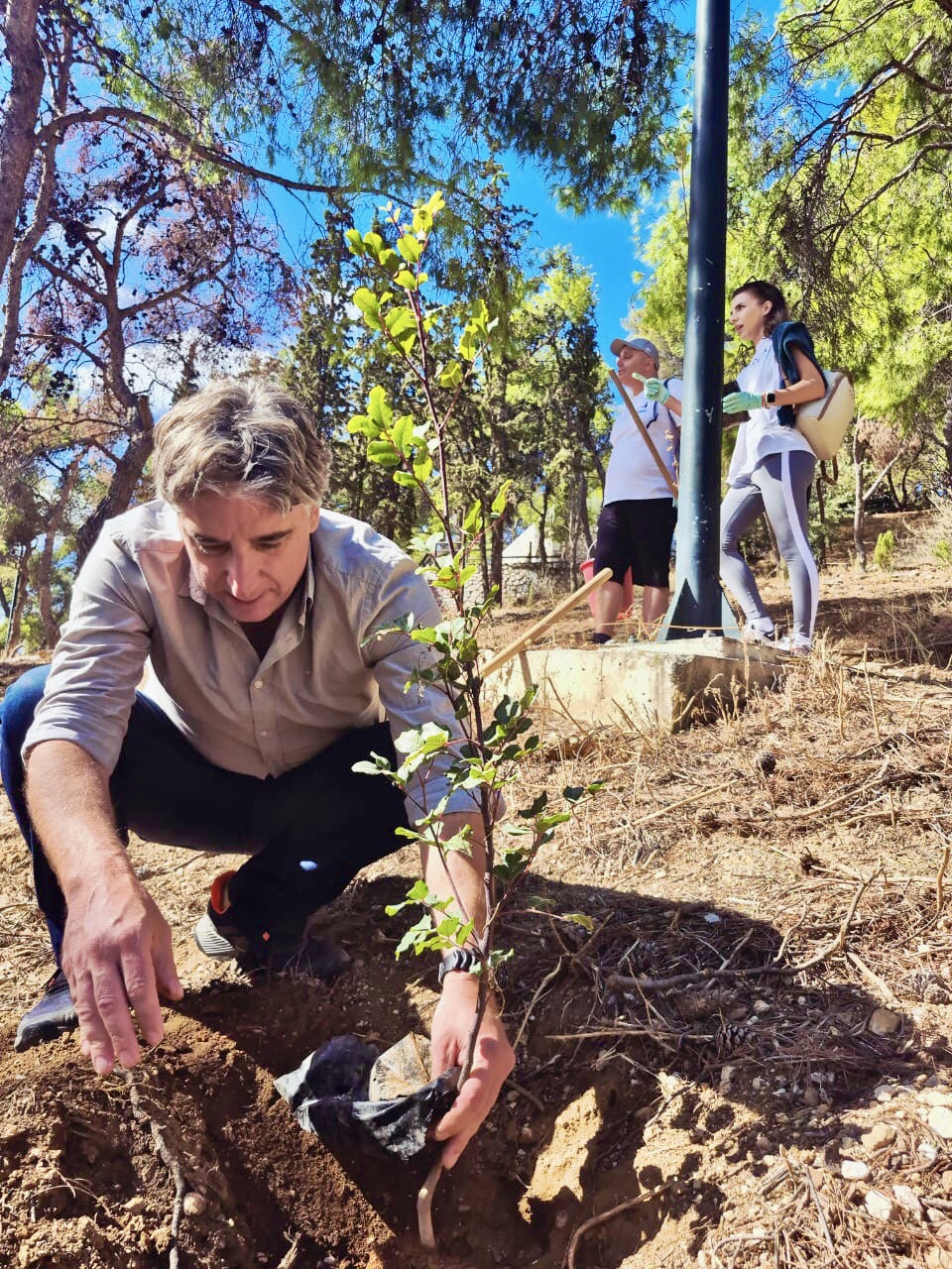 300 νέα δέντρα στο Λυκαβηττο - 8.000 σε όλη την Αθήνα 8 IMG 7591
