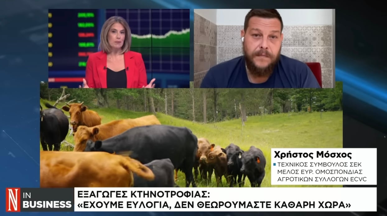 Home 89 Σοκαριστικά στοιχεία για τον πραγματικό αριθμό ζώων στην Ελλάδα: Μεγάλη απόκλιση ανάμεσα στους αριθμούς που δηλώνονται και στον πραγματικό πληθυσμό αιγοπροβάτων