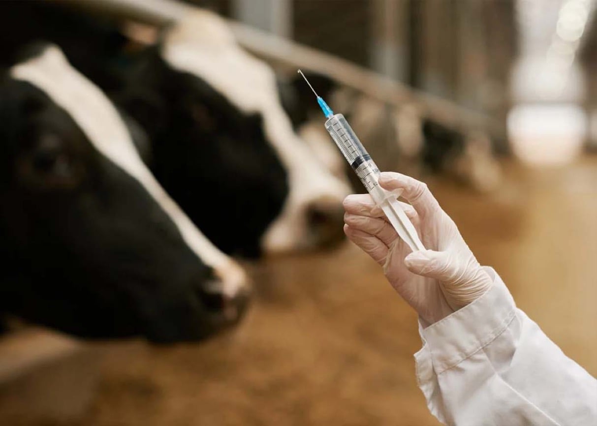 Home 86 Έκανε πίσω πανικόβλητος ο Μακρόν μπροστά στους αγρότες…