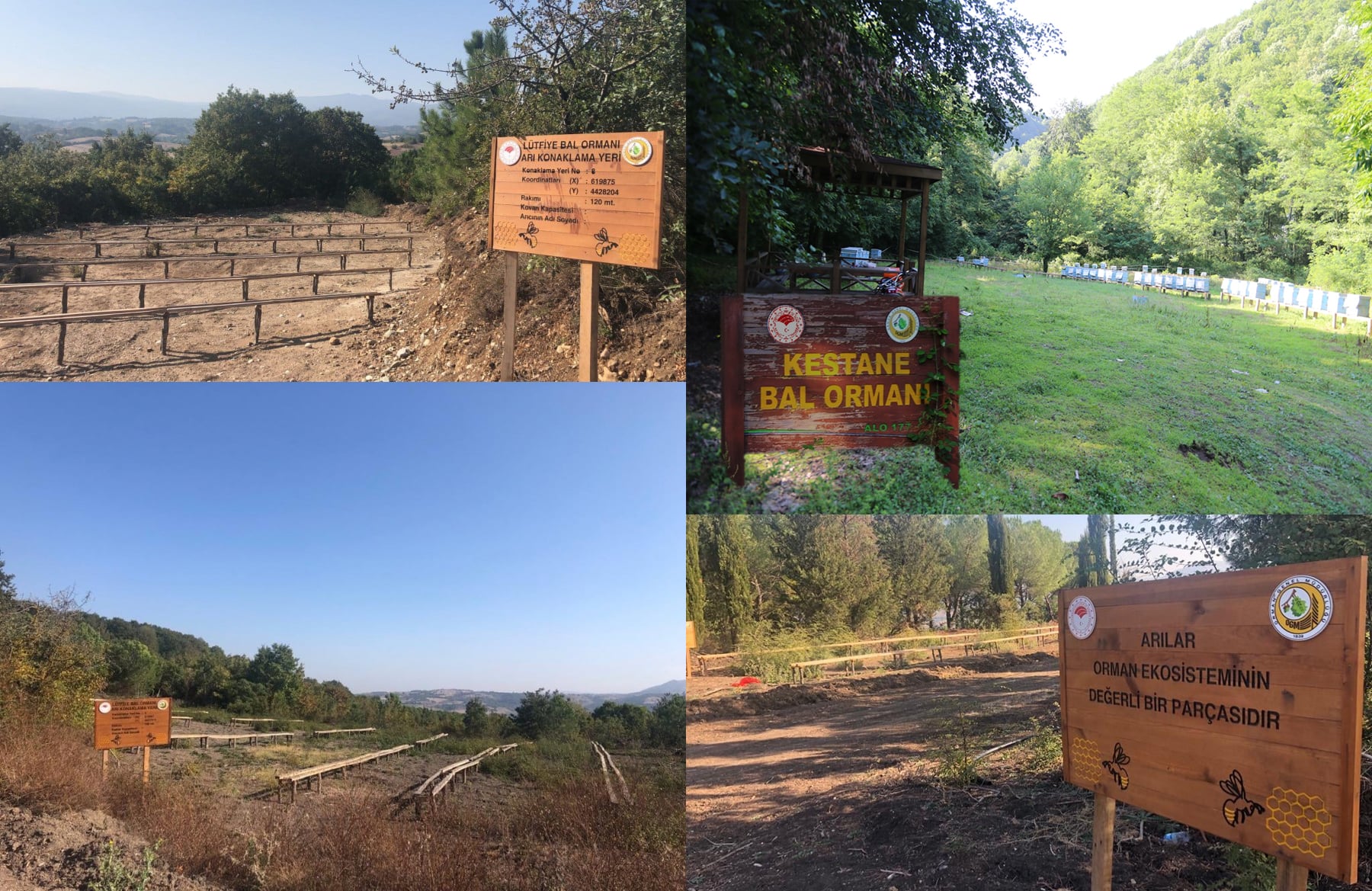 Εθνική μειοδοσία έναντι της Τουρκίας, ακόμα και στο πευκόμελο 7 IMG 1076