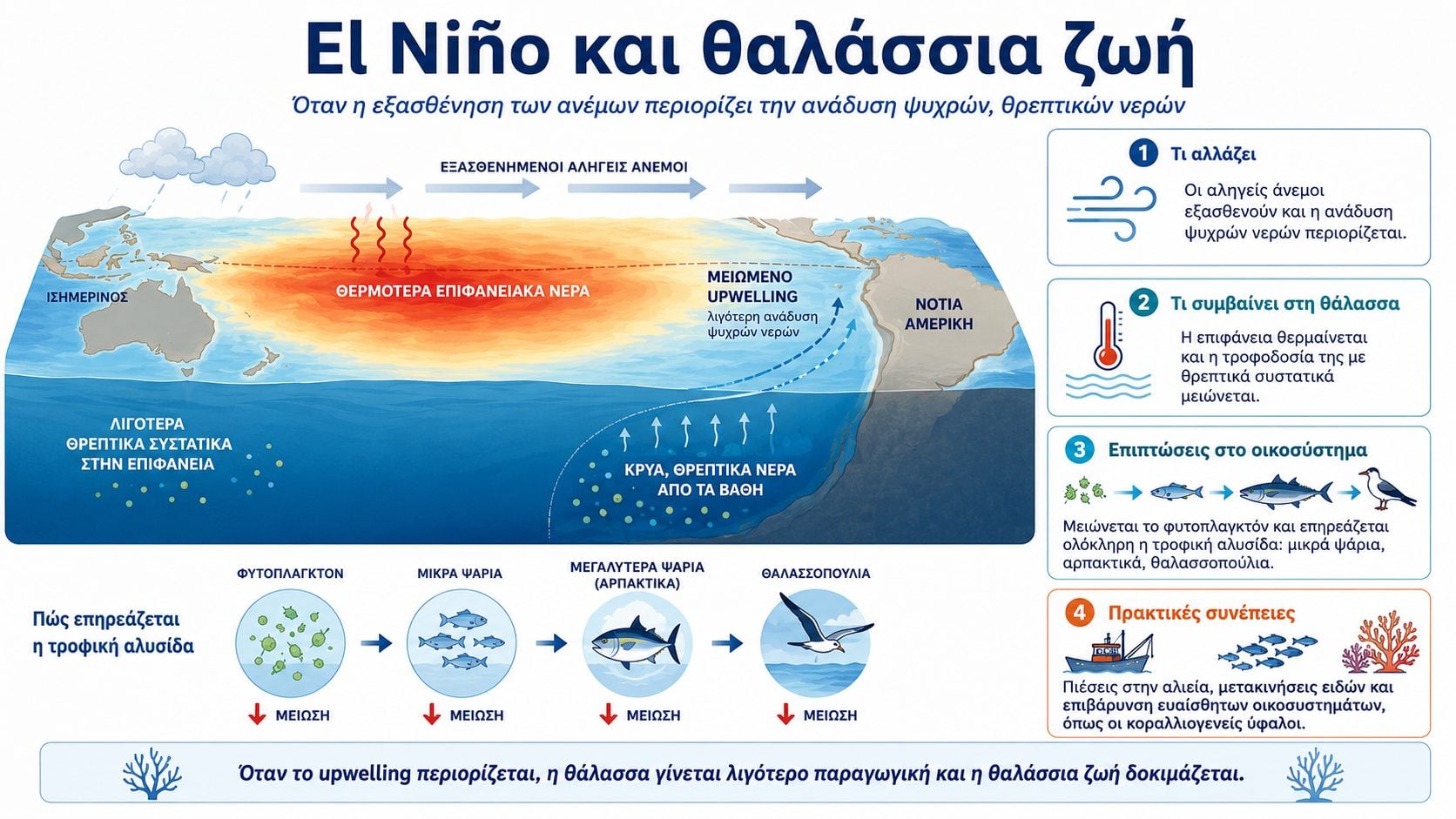 Το ευεργετικό μελτέμι κρατά πιο δροσερές τις ελληνικές θάλασσες και βοηθά τη θαλάσσια ζωή 9 IMG 7879