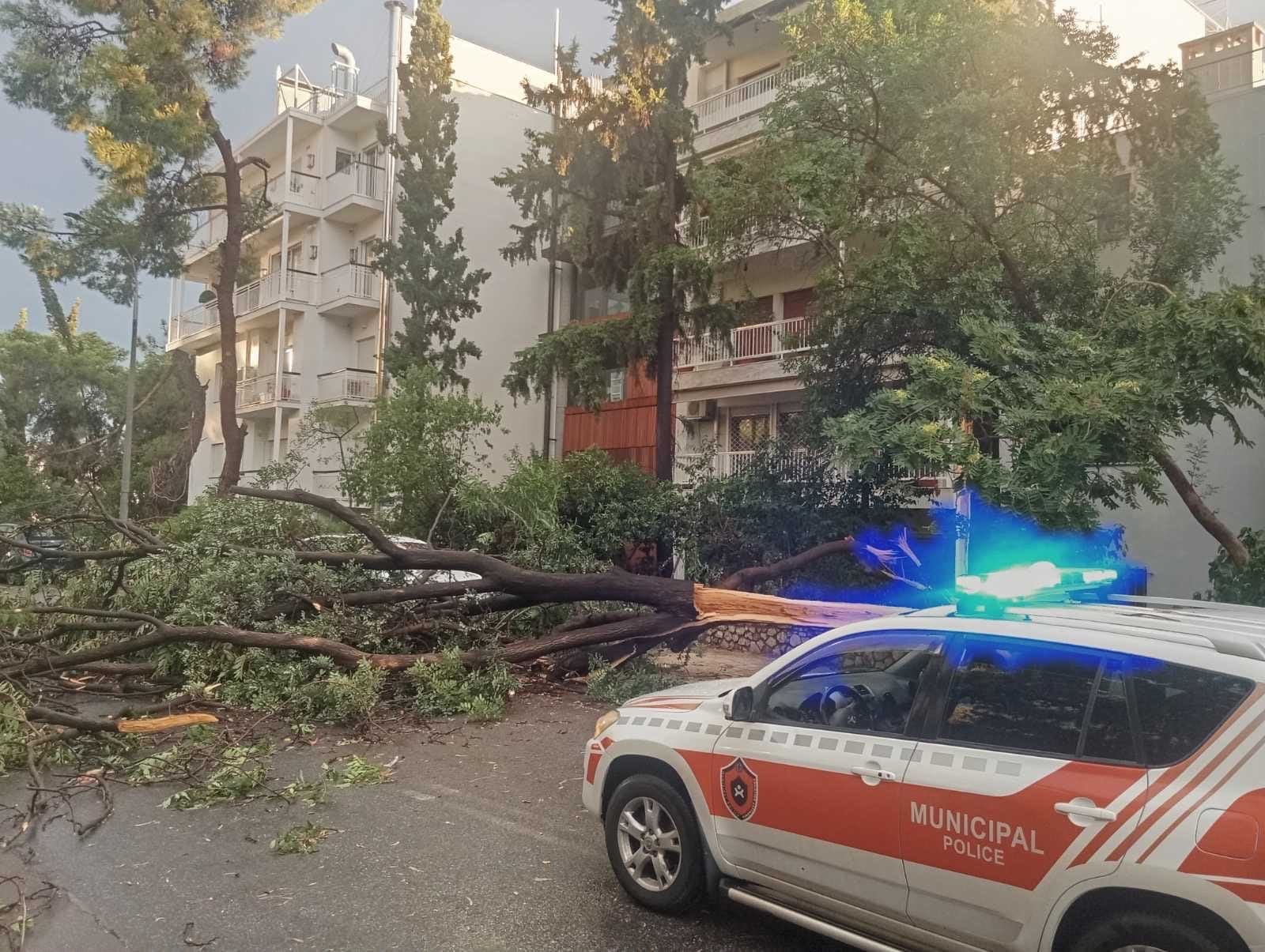 Δήμος Αθηναίων: Κινητοποιήθηκαν 40 συνεργεία, 30 οχήματα και μηχανήματα έργου για την αντιμετώπιση της κακοκαιριας 10 IMG 9559