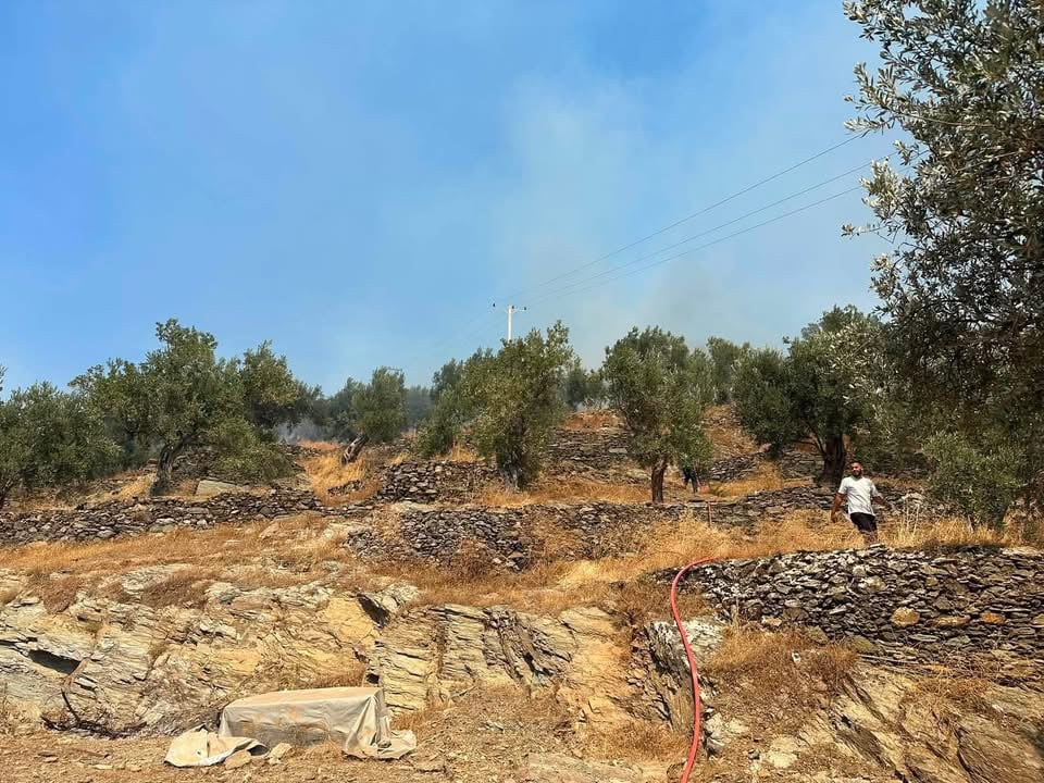 Εκκένωση του χωριού Πλωμάρι στη Λεσβο