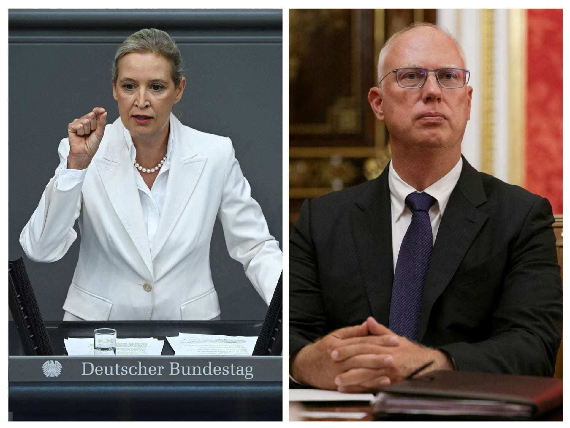 Γερμανία: AfD και στενός συνεργάτης του Πούτιν σχεδιάζουν συνάντηση για την επιστροφή του ρωσικού αερίου και το Nord Stream