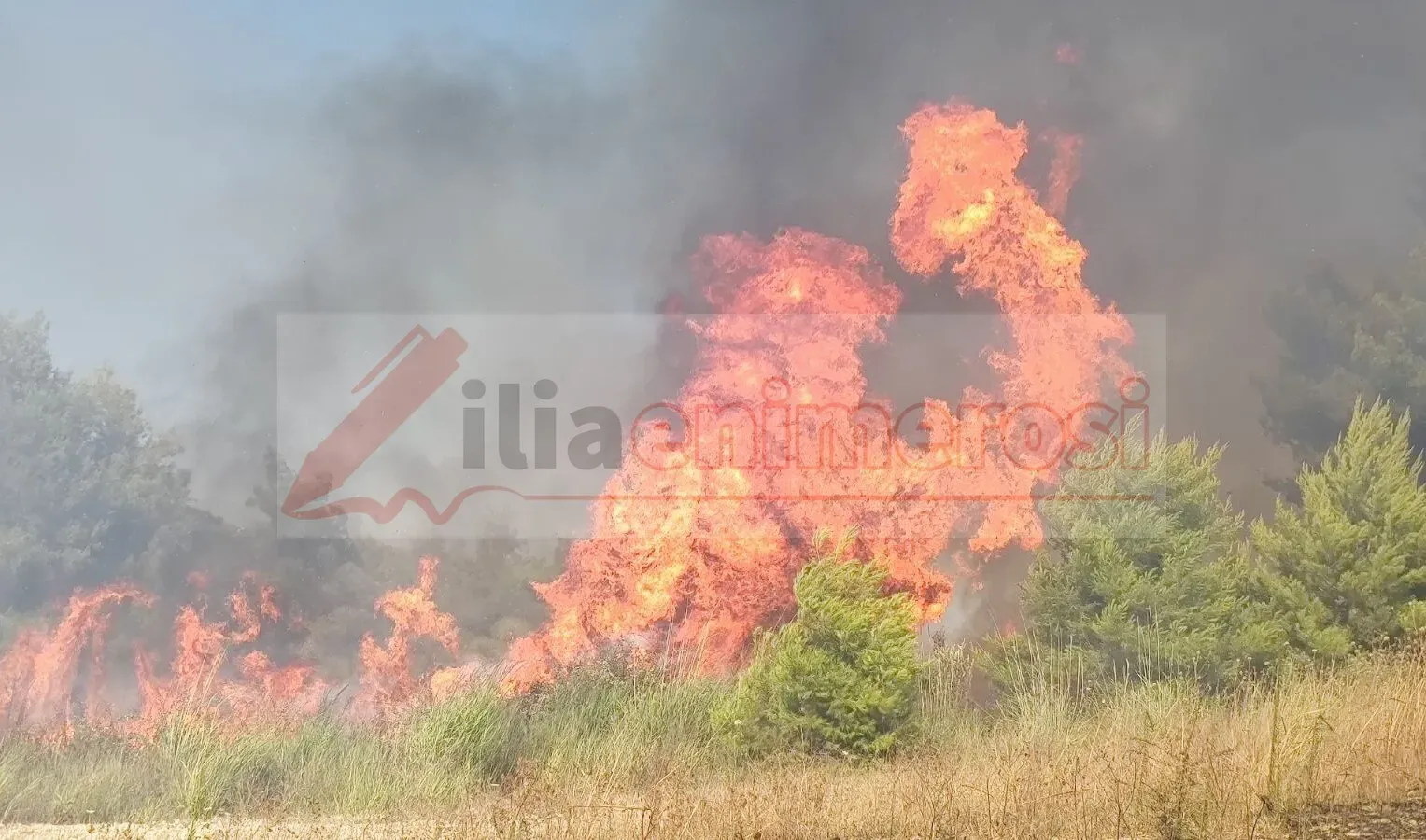 Ηλεία: Πυρκαγιά σε αγροτοδασική έκταση στην Σκιλλουντία – Μήνυμα του 112
