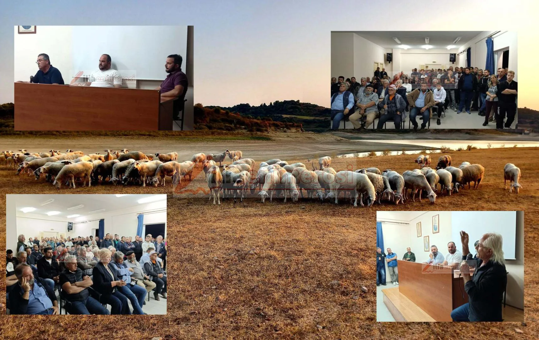 Ηλεία: Φτάνει πλέον η θανάτωση των ζώων 5 Ηλεία: Φτάνει πλέον η θανάτωση των ζώων