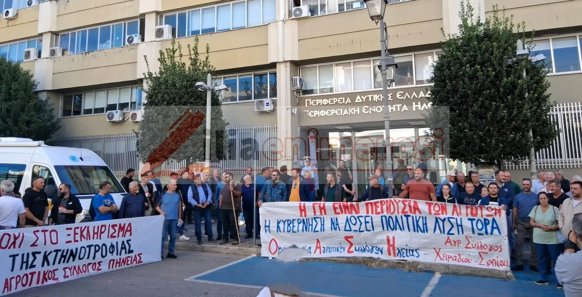 Πύργος: Στους δρόμους οι κτηνοτρόφοι – «Όχι στο ξεκλήρισμα»