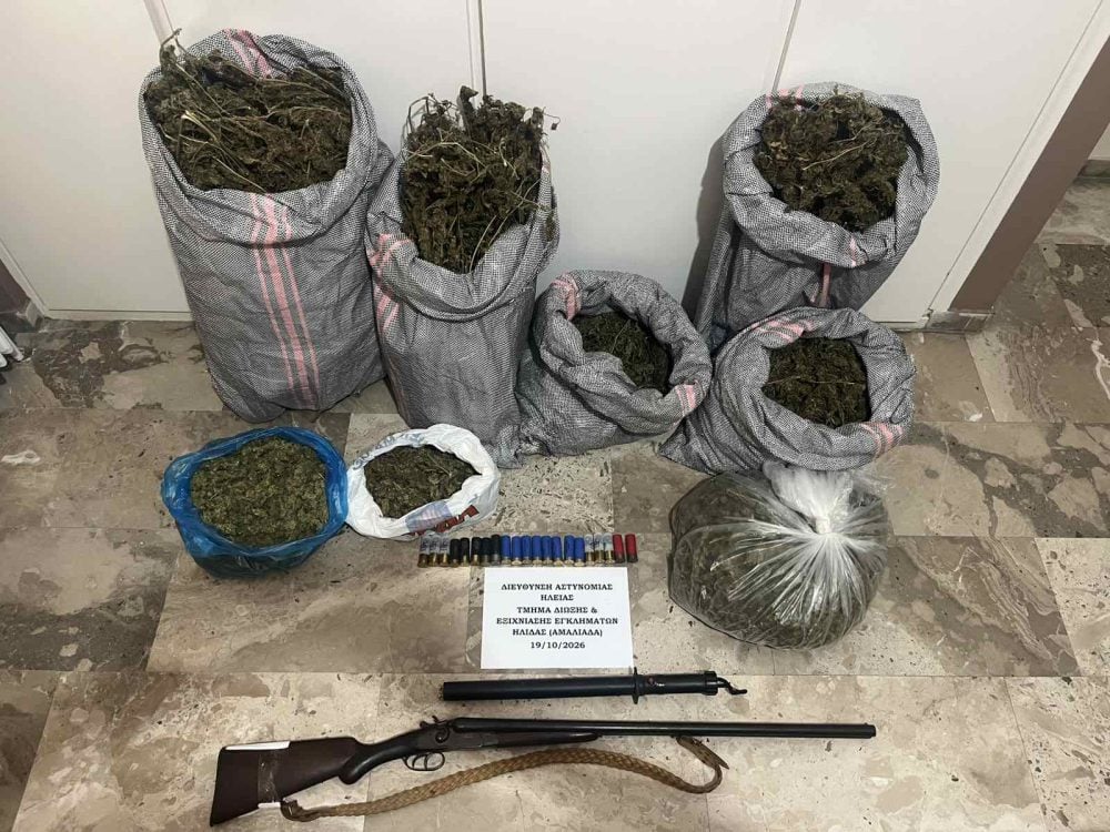 Ηλεία: Νέα  φυτεία με 100 δενδρύλλια, όπλα και 9 κιλά κάνναβης